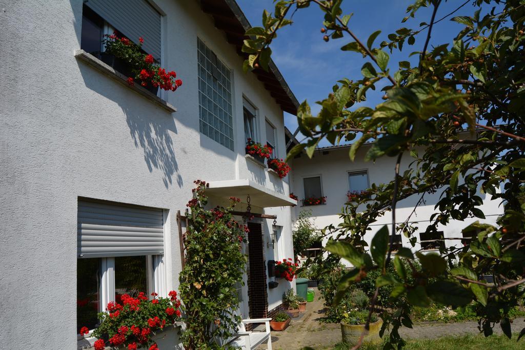 Lindenhof Hahn Leilighet Blankenrath Eksteriør bilde